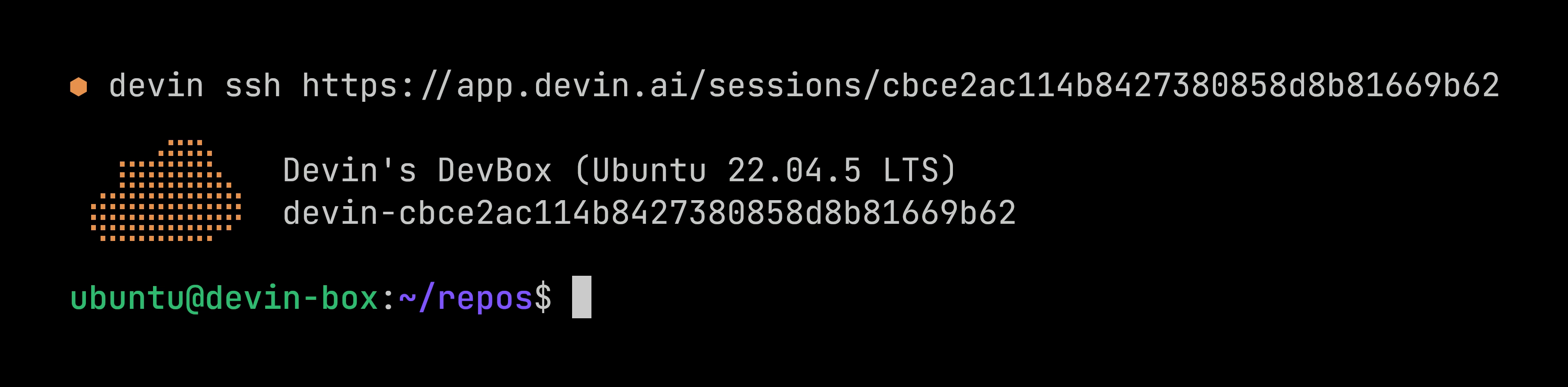 Connecting to a Devin cloud VM over SSH from the terminal